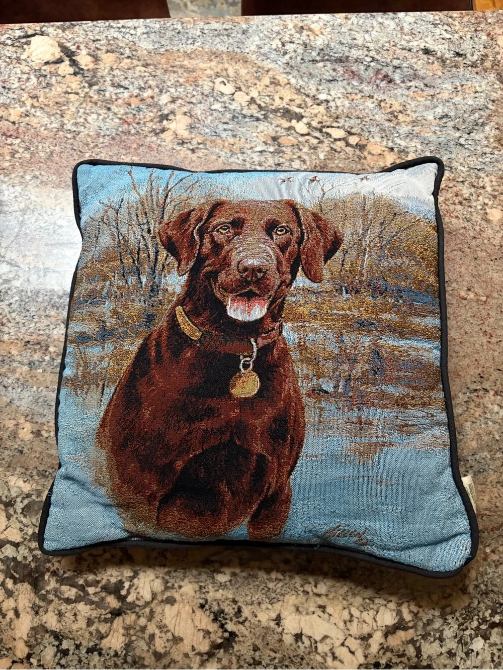 Killen Chocolate Brown Labrador Accent Pillow with Blue Background